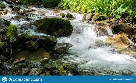 A Fast Mountain Stream With Rocks Surrounded By Greenery Stock Photo