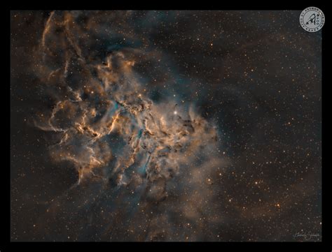 Nebulosa Flaming Star Apod By
