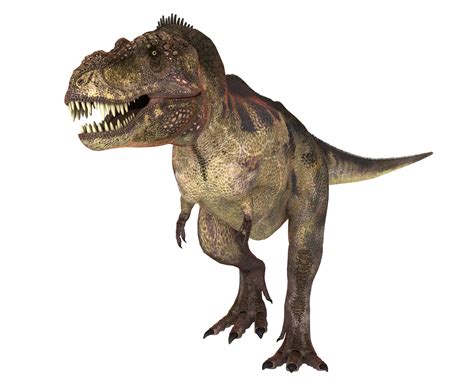 Actualizar 62 Imagem Sobre O Dinossauro Rex Br Thptnganamst Edu Vn