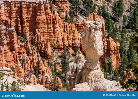 Colorful Hoodoo Rock Formations In Bryce Canyon National Park U Stock