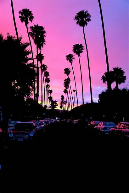 Sunset Palm California Trees Road Wallpapers Wallhere