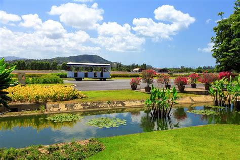 Samui International Airport What You Need To Know About Koh Samui Airport Go Guides