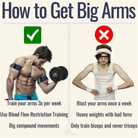 🔥how To Get Big Arms🔥 📷 Workoutimportant Bigger Arms Get Bigger