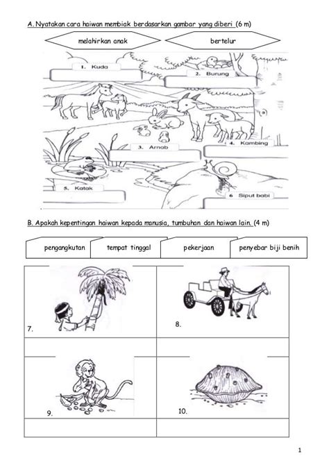 Latihan Sains Tahun 3 Tumbuhan Sains Tahun 2 Haiwan Dan Cara Riset Vrogue