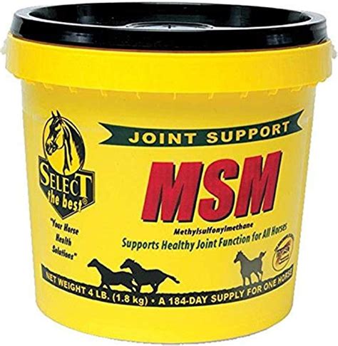 5 Best Equine Joint Supplement For Horses Horse Meta