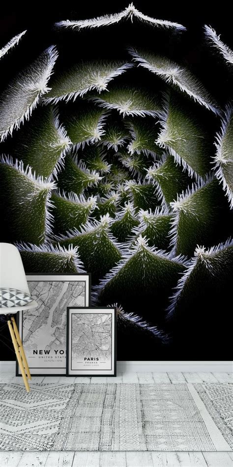 Sempervivum Rosette Wallpaper Happywall Gray Succulent Plant