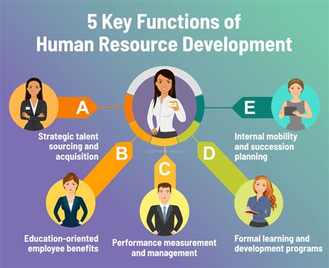 The human resource development fund has been given the responsibilities that have been drawn out by our esteemed leadership, which was spelled out in the resolution of the council of minister no. What Is Human Resource Development? Definition, Functions ...
