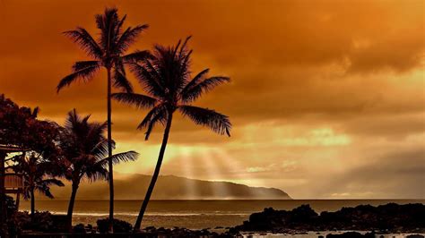 Free Hawaii Desktop Backgrounds Wallpaper Cave