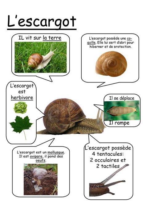 El blog de aprender francés