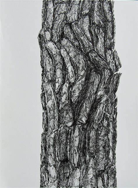 Drawing And Illustration Pine Tree Bark Original Charcoal Art Art