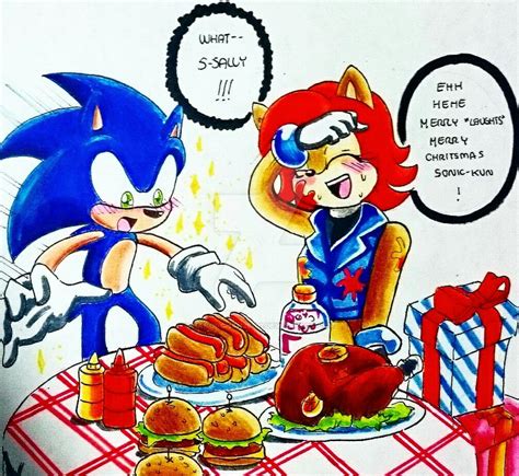 Contest Entry Special Dinner Sonic X Sally By Hanoi Chan25201 On