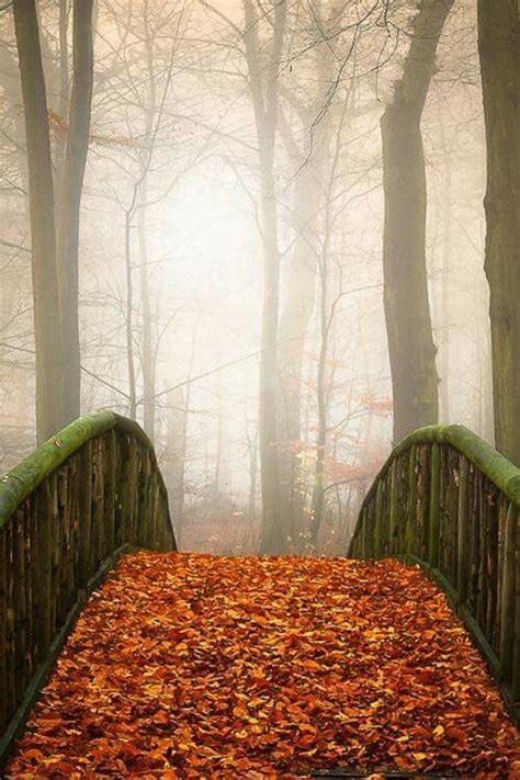 Pin By Becky Cagwin On Seasons Amazing Autumn Autumn Morning
