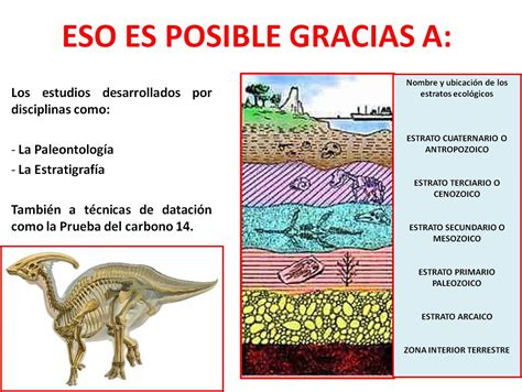 Ciencias Sociales Tema 2 Las Eras GeolÓgicas