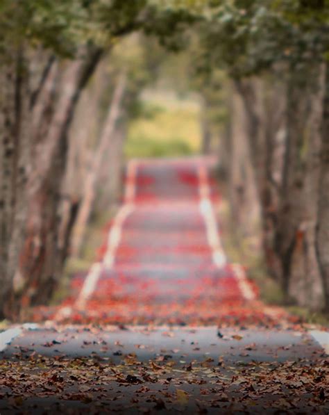 Full Blur Nature Road Background Free Stock Photo Download