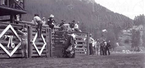 Bull Rider Coming Out Of The Chute At The Days Of ‘76