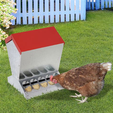 Auto Chicken Feeder Galvanized Steel Poultry Feeders For 10 Chickens