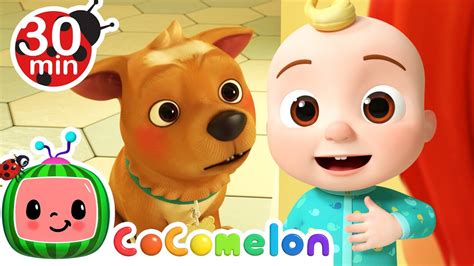 My Dog Song Bingo Cocomelon Furry Friends Animals For Kids Youtube