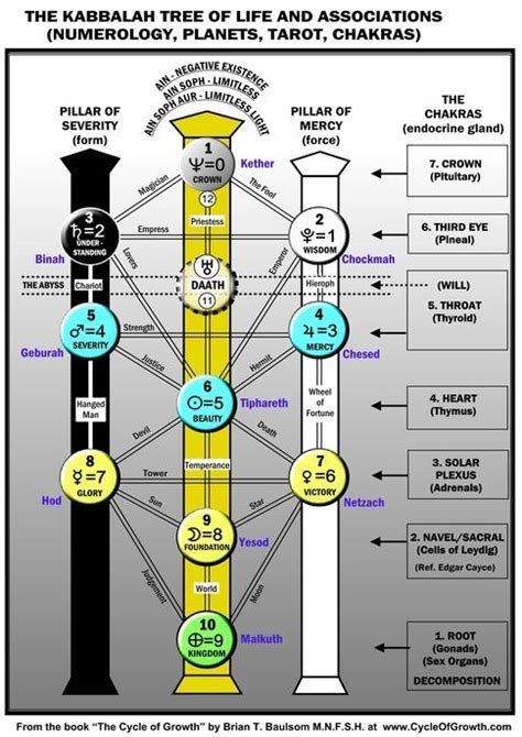 Tarot General Tree Of Life Numerology Numerology Life Path