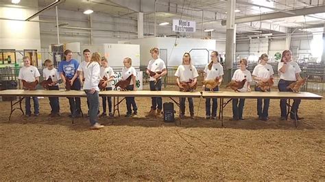 2017 Lancaster County Super Fair 4 H Poultry Show Beginning Of Show Youtube