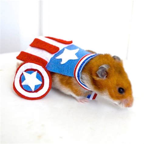 Hero Hamster Pet Halloween Costumes Pet Costumes Cute Hamsters