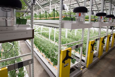 Cannabis Grow Room Production Equipment