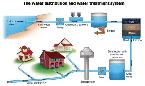 Water Distribution And Treatment System Water Term 3 Unit 2 6th