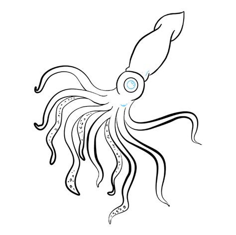 How To Draw A Squid Really Easy Drawing Tutorial