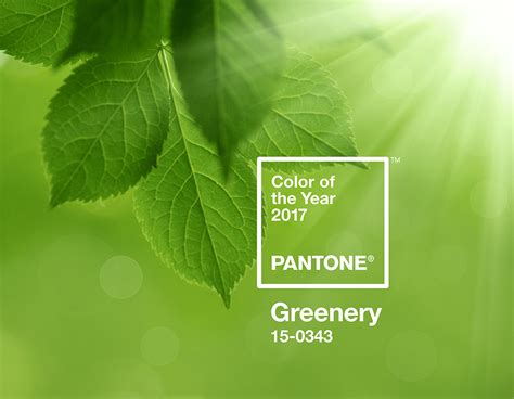 The Pantone Color Of The Year 2017 Is Here Greenery New Uses