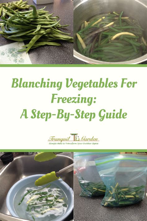 Blanching Vegetables For Freezing A Step By Step Guide Do You Have