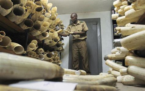 Cites Adopts Resolution To End Corruption In Wildlife Trade