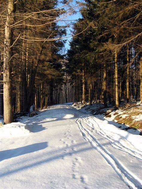 The north slope of the mountain borders the winooski river, which has carved through the green mountains over eons. Camel's Hump Nordic Ski Area - Trail Finder