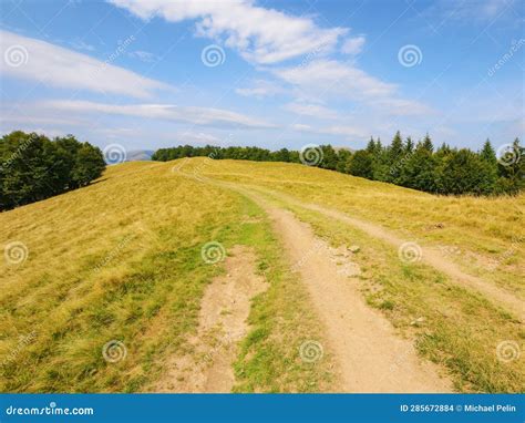 Rural Road Through Green Meadows On Forested Rolling Hills Stock Photo