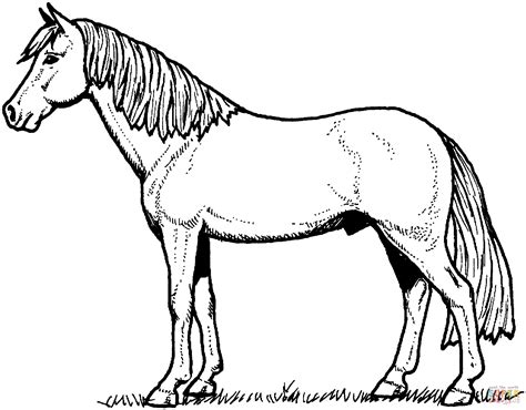 Dibujos Para Colorear Caballos Dibujos Para Dibujar