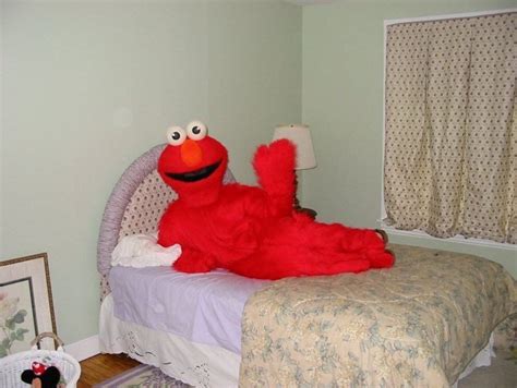 39 No Context Cursed Images Of Disturbing Weirdness Elmo Elmo Memes
