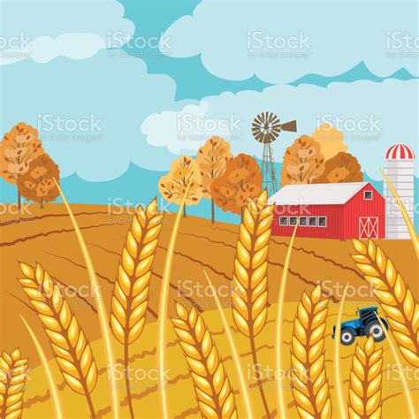 Autumn Wheat Field And Farm Autumn Wheat Field And Farm There Are