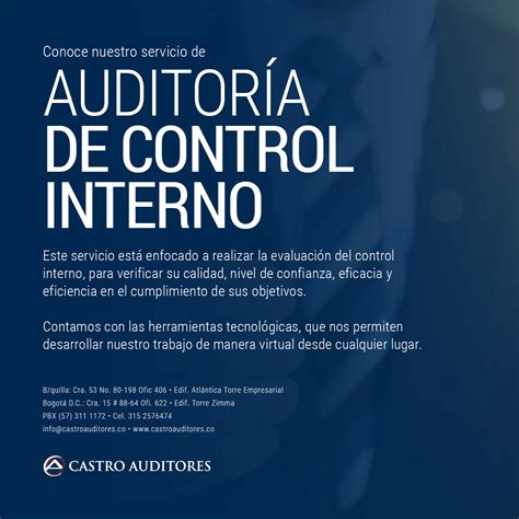 Auditoría De Control Interno › Castro Auditores Sa