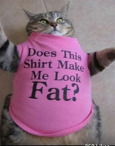 Does This Shirt Make Me Look Fat Funny Animal Pictures Cute Pictures