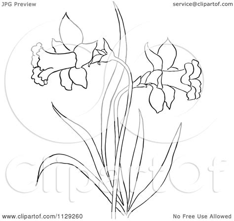 Flowers coloring games and flowers coloring book for children! Cartoon Clipart Of An Outlined Dandelion Flower Plant ...