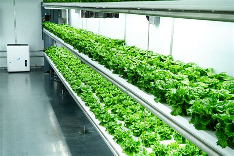 How Vertical Farming Reinvents Agriculture Grow Pod Solutions