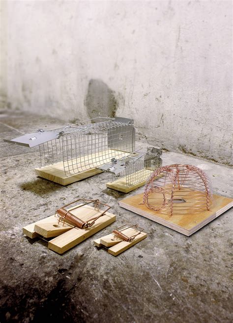 Swissinno Mouse Classic Cage Trap 1 Pcs