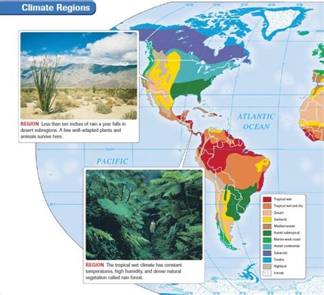 Humid Continental Climate Animals