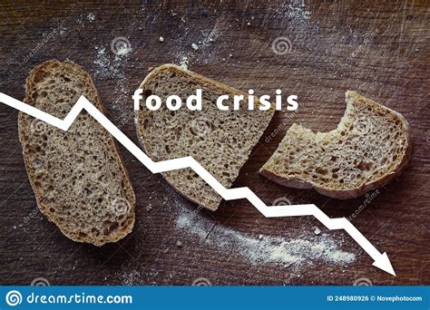 Food Crisis Cereal Crop Failure The Shortage Of Bread Russia S