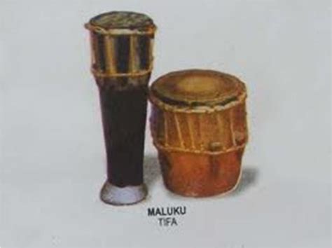 Tifa merupakan alat musik dari batang kayu yang telah dilubangi serta menggunakan kulit rusa kering pada salah satu ujung batang kayu tersebut. Alat | Musik | Tradisional | Nusantara: Maluku
