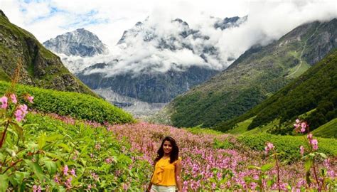 Firstly, getting there is a 3.5km trek from ghangaria through some stunningly beautiful ruggedly wooded mountains. How to reach Valley of Flowers | Altitude Adventure India