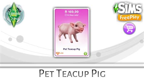 The Sims Freeplay Pet Teacup Pig Pack Online Store Packs Youtube
