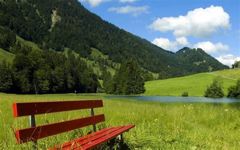 Red Bench On A Green Field Nature Hd Wallpaper