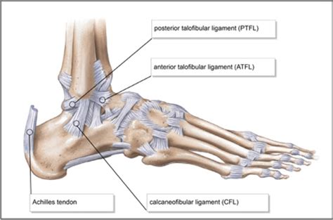 Early Ankle Sprain Rehab 𝙏𝙝𝙚 𝙋𝙧𝙚𝙝𝙖𝙗 𝙂𝙪𝙮𝙨 Online Physical Therapy