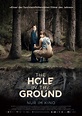 The Hole In The Ground - Film 2019 - FILMSTARTS.de