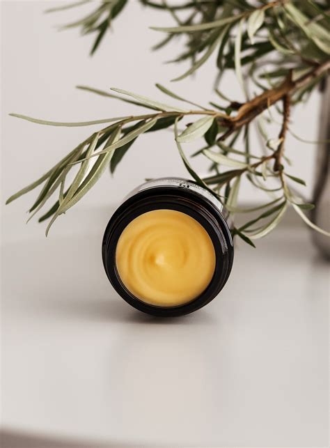 Sea Buckthorn Cream For Face Pl Cosmetics 100 Natural Composition