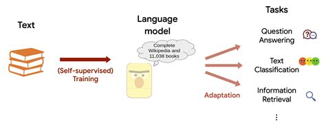 Dragon Training A Foundation Model From Text And Knowledge Graph